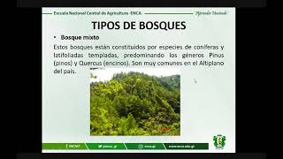 Establecimiento de plantaciones forestales [upl. by Gamages]