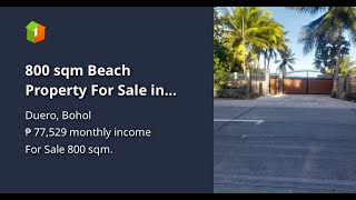 800 sqm Beach Property For Sale in Duero Bohol [upl. by Aeslek432]