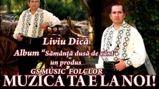 COLAJ ALBUM LIVIU DICA  SAMANTA DUSA DE VANT [upl. by Hgieleak]