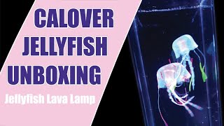 Jellyfish Lava Lamp  Calover Jellyfish Unboxing [upl. by Merridie]