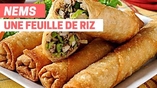 Utiliser une FUEILLE DE RIZ  NEMS [upl. by Rashidi]