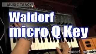 Waldorf microQ key DemoampReview [upl. by Francklyn]