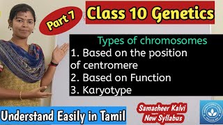 Types of Chromosomes based on the position of centromere and based on the function Karyotype [upl. by Amethyst]