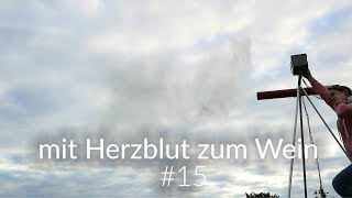 mit Herzblut zum Wein Vlog 15  Wir sind nicht gut zu Vögel und andere Schweinereien im Rebberg [upl. by Aidnama]