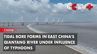 Tidal Bore Forms in East Chinas Qiantang River under Influence of Typhoons [upl. by Marci]