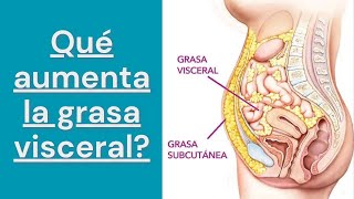 Qué aumenta la grasa visceral [upl. by Oicanata]