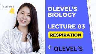 Respiration  Lecture 03  Basics and Aerobic Respiration  Olevels Biology [upl. by Anemij]