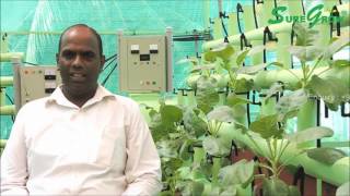 SoilLess AEROPONICS Home garden 919944018800 [upl. by Rol]