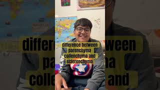 difference between parenchyma collenchyma and sclerenchymashortvideo [upl. by Pesek]