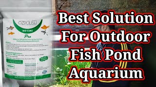 Fish Pond Maintenance  OZPOLISH Bio Cure Pro  Outdoor Fish Aquarium amp Ponds fish trending viral [upl. by Maguire660]