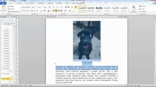 Kép beillesztése Microsoft Word 2010ben ekönyv készítéséhez [upl. by Hyatt]