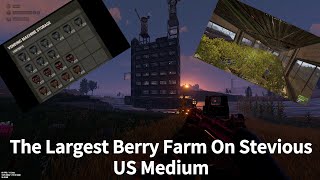 The Largest Berry Farm On Stevious US Medium │Rust [upl. by Amati]