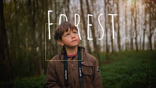 Cinematic Forest walk  nature video 4k  sony a7iii [upl. by Bennett387]