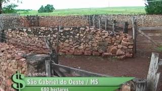 FAZENDA À VENDA EM SÃO GABRIEL DO OESTE  MS COM 680 HECTARES [upl. by Ayotal]