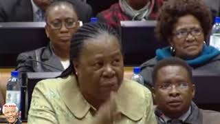 Willie Madisha making funny noises South African Parliament [upl. by Aira331]