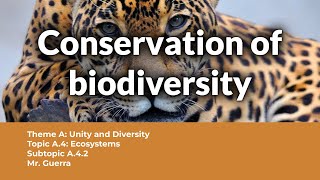 A42 Conservation of biodiversity  IB Biology SL NEW SYLLABUS First assessment 2025 [upl. by Anide541]