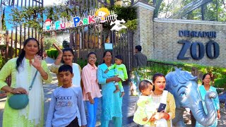 Malsi Deer Park  Dehradun Zoo  देहरादून का चिड़ियाघर [upl. by Downall93]