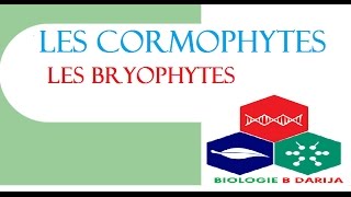 cours cormophytes partie 2  les bryophytes [upl. by Fairfax]