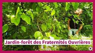 Le jardinforêt des fraternitesouvrieres2963 à Mouscron  PermaZoom [upl. by Miza]