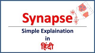 Synapse amp Its Types Simple explaination in Hindi  Bhushan Science [upl. by Nnayllehs496]