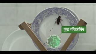 Lal HIT Hindi 35 sec Ad  Monthly Kitchen Cleaning [upl. by Alauqahs243]