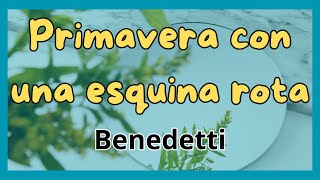 DESCUBRE ➡️ Primavera con una esquina rota Un CLÁSICO 📕 Reedición [upl. by Nair484]