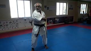 Bassai Dai Kata SHITORYU Performed by Hanshi V SASIDHARAN [upl. by Lissy]