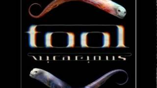 Tool  Vicarious played in reverse [upl. by Sadye]