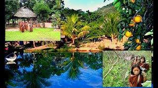 Reserva de Biosfera OxapampaAsháninkaYánesha  Un Paraíso en la Amazonía Peruana [upl. by Castle]