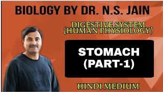 Stomach  Part1 Digestive System Human Physiology  Hindi Medium [upl. by Aydiv]