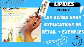 📣1 Les Lipides Partie1 Les Acides Gras explication en détail  des exemplesاقوى مراجعة لللبيدات [upl. by Robet]