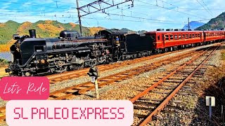 SL Paleo Express Steam Train Near Tokyo 🌬 [upl. by Nellahs108]