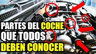 PARTES DEL MOTOR DE UN COCHE  Aprende a revisar el motor de tu auto  Cuánto Gana [upl. by Caldeira]