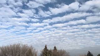 CUMULUS STRATUs CIRRUS CLOUDS  Hello to everyone [upl. by Anastase517]