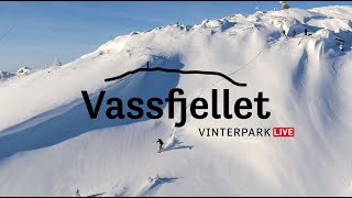 Vassfjellet LIVE [upl. by Enneirdna]