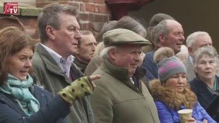 First Stallion parade at Yorton Farm Stud [upl. by Katzir]