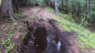 Dirt bike riding Revelstoke BC Canada [upl. by Eilema]