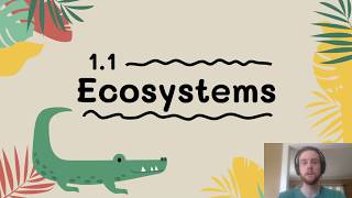 APES Video Notes 11  Ecosystems [upl. by Eirroc887]