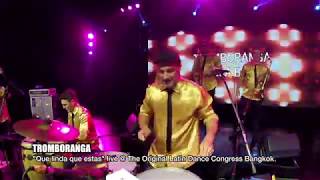 TROMBORANGA quotQue linda que estasquot live Bangkok The original Latin Dance congress 2018 [upl. by Etnahc10]