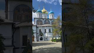 cathedral moscow rusia москва россия song shortvideo shorts viralvideo [upl. by Torrance]