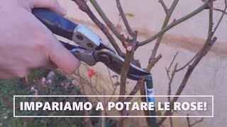 IMPARIAMO A POTARE LE ROSE  Tutorial per la potatura del roseto  WampA Gardens orto e giardino [upl. by Notnirb]