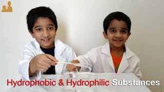 Hydrophobic amp Hydrophilic Substances  Easy Do at Home Science Experiment for Kids [upl. by Gavra]