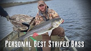 Spring Fishing Striped Bass  Miramichi River [upl. by Jez]