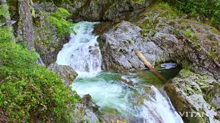 Small Waterfall Nature 4k Calming Water Sounds 8h Nature 4K UHD [upl. by Einttirb]