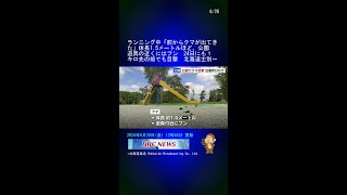 ランニング中「前からクマが出てきた」体長15メートルほど、公園遊具の近くにはフン 24日にも１キロ先の畑でも目撃 北海道士別市 Shorts [upl. by Manouch]