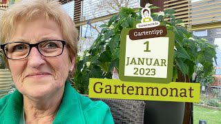 Der Gartenmonat Januar Gartenarbeiten und Vorbereitungen  Gartenjahr 2023 [upl. by Triplett]