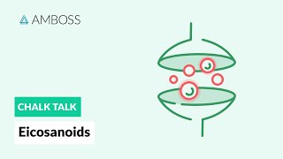 Eicosanoids Formation Function and Subclasses [upl. by Solana]