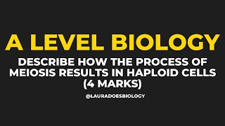 Guaranteed 4 Mark Meiosis Practice Question  A Level Biology [upl. by Saimon]