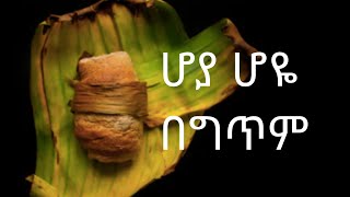 Esubalew Yitayew  Hoya Hoye Lyrics  እሱባለው ይታየው  ሆያ ሆዬ Ethiopian music ethiopianmusic amharic [upl. by Zennas]