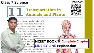 Transportation in Plants and Animals  Class 7 Science Chapter 11 Full Chapter [upl. by Ahsienom998]